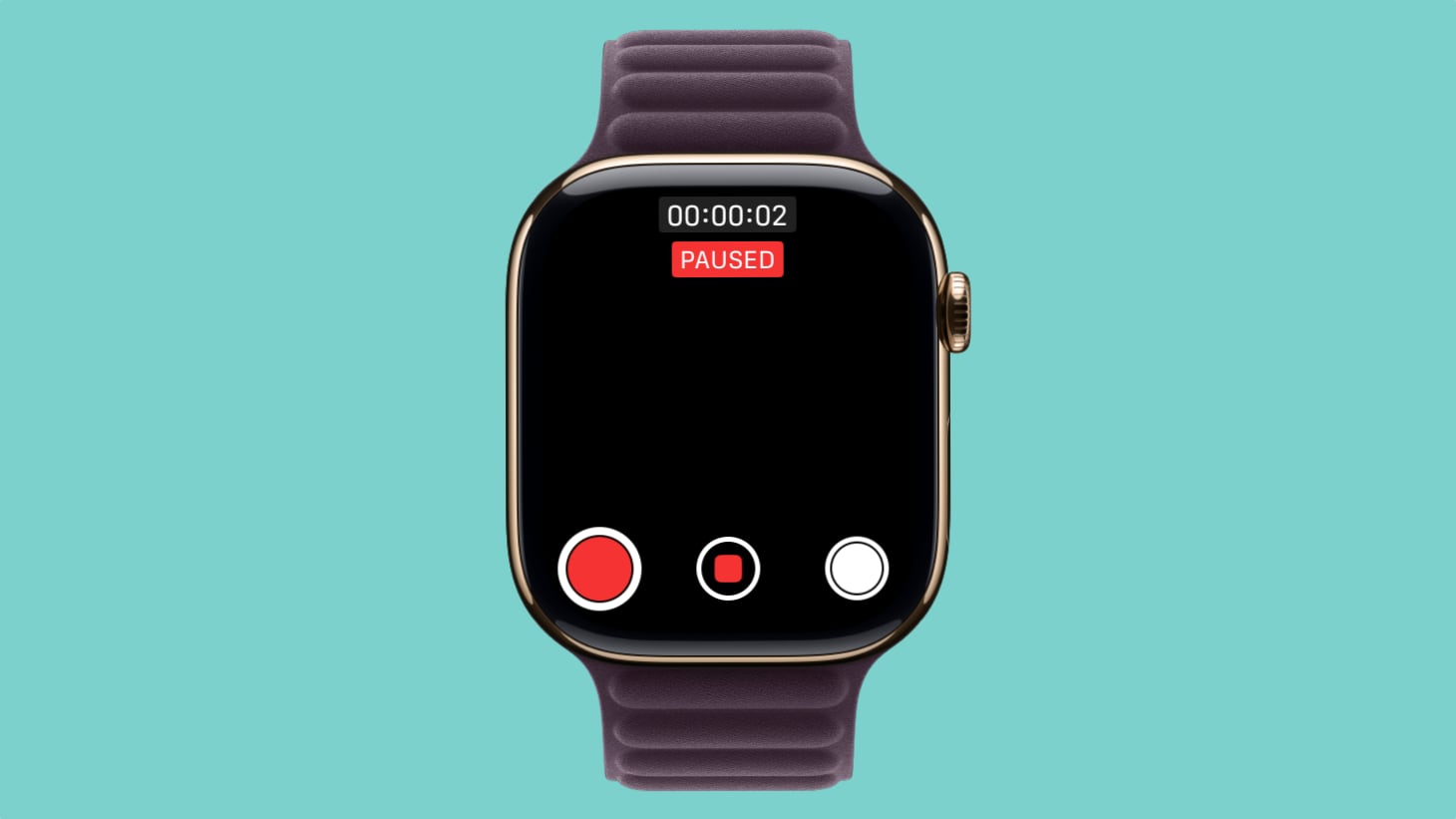 watchos-11-2-pause-video.jpg